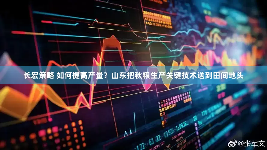 长宏策略 如何提高产量？山东把秋粮生产关键技术送到田间地头