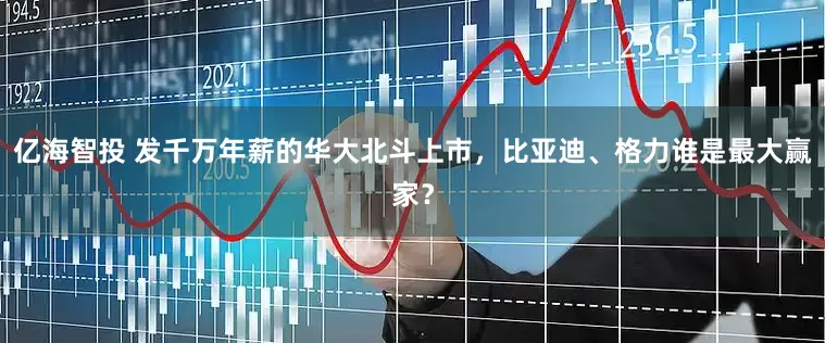 亿海智投 发千万年薪的华大北斗上市，比亚迪、格力谁是最大赢家？