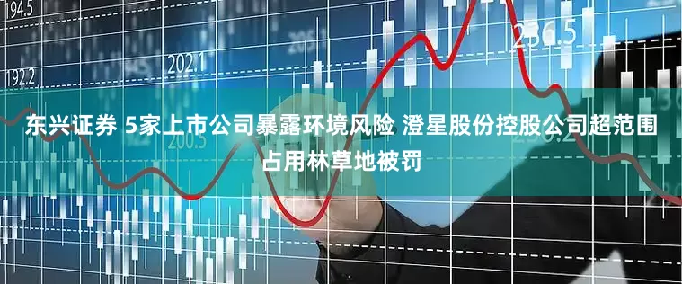 东兴证券 5家上市公司暴露环境风险 澄星股份控股公司超范围占用林草地被罚