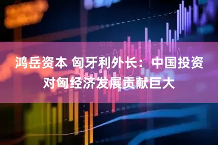 鸿岳资本 匈牙利外长：中国投资对匈经济发展贡献巨大