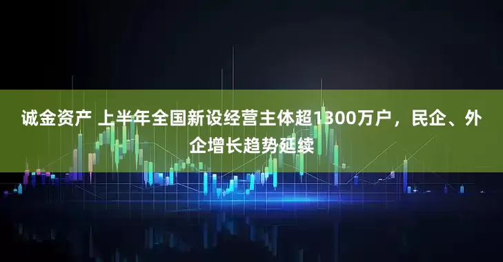 诚金资产 上半年全国新设经营主体超1300万户，民企、外企增长趋势延续