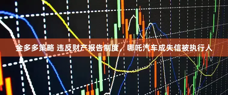 金多多策略 违反财产报告制度，哪吒汽车成失信被执行人