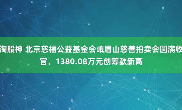 淘股神 北京慈福公益基金会峨眉山慈善拍卖会圆满收官，1380.08万元创筹款新高