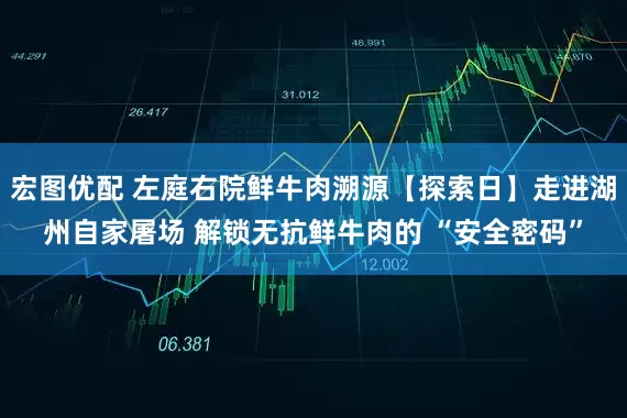 宏图优配 左庭右院鲜牛肉溯源【探索日】走进湖州自家屠场 解锁无抗鲜牛肉的 “安全密码”