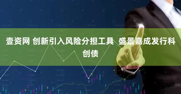 壹资网 创新引入风险分担工具  盛景嘉成发行科创债