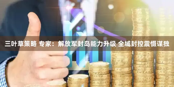 三叶草策略 专家：解放军封岛能力升级 全域封控震慑谋独